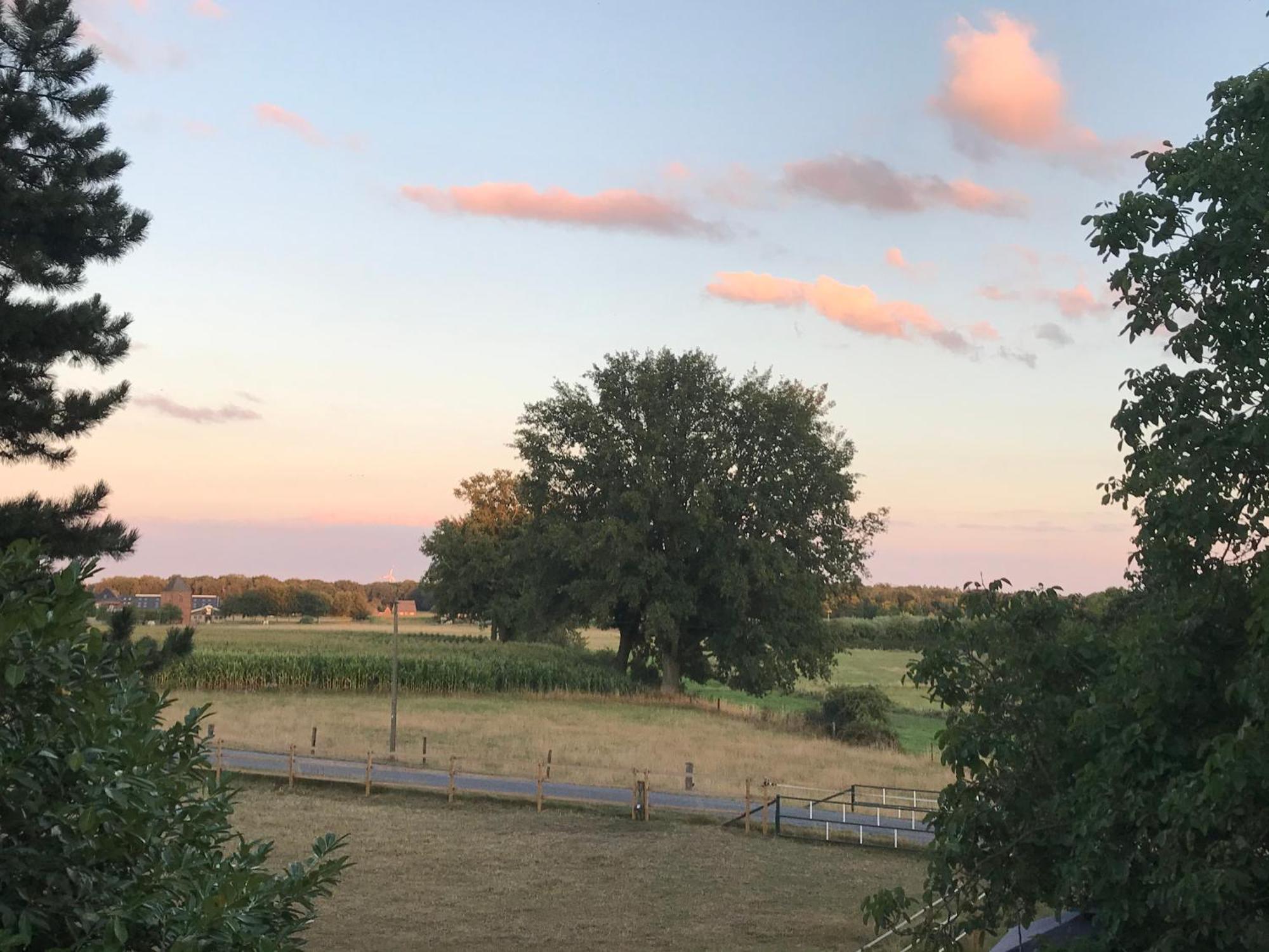 Ks Kotten Bed And Breakfast Rees Exterior foto