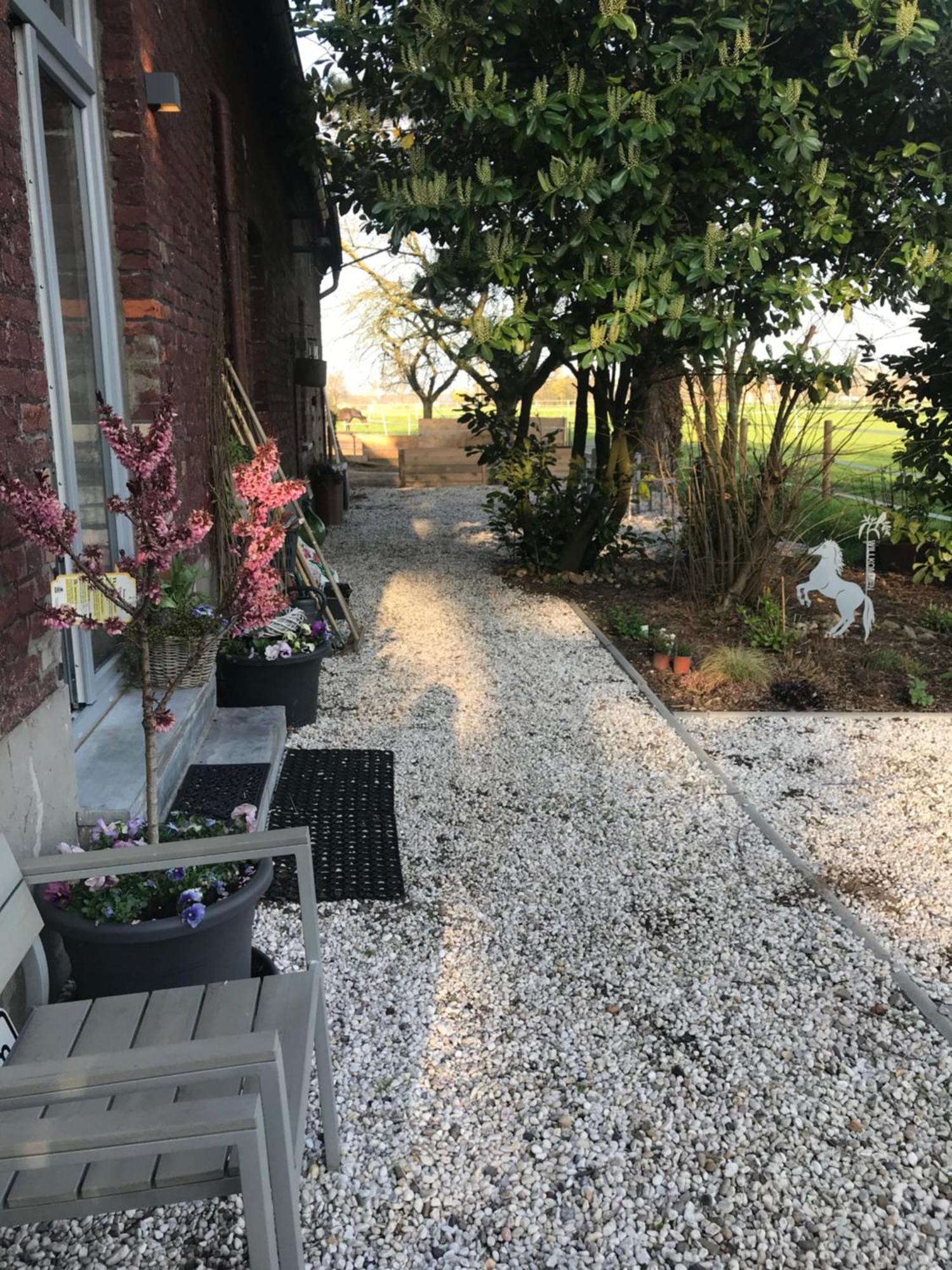 Ks Kotten Bed And Breakfast Rees Exterior foto